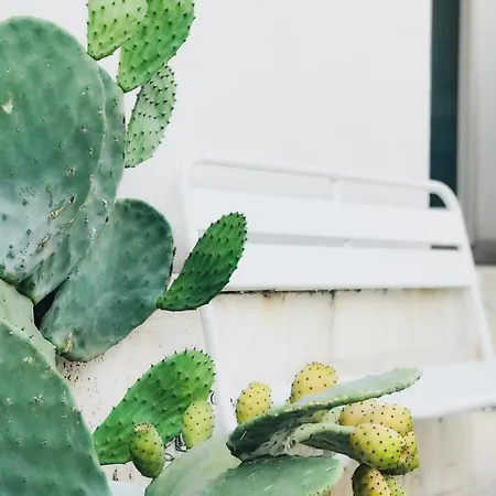 A Casa Di Gi' Bed & Breakfast